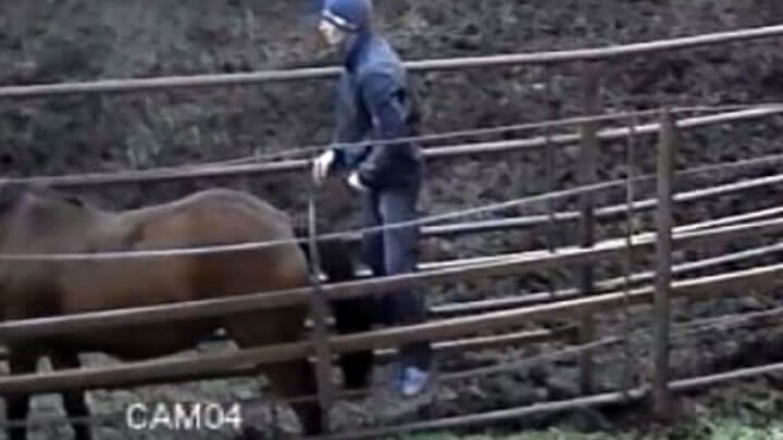 Girlfriend Dumps Her Man After Seeing CCTV Images Of Him Having Sex With Horse On Farm